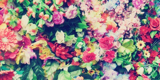 احصل الآن على خلفيات مناظر طبيعية مذهلة للآيفون متوفرة عالية الجودة