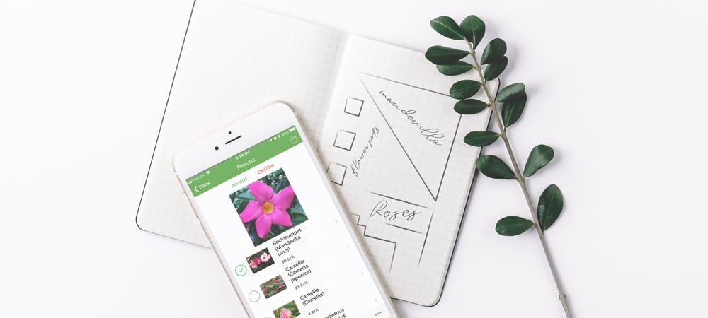 تطبيق PlantSnap للتعرّف على الزهور والنباتات من الصور باستخدام الذكاء الاصطناعي