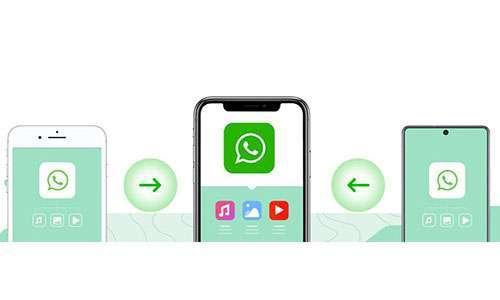 كيفية نقل رسائل واتس اب من أندرويد إلى ايفون ومن ايفون إلى ايفون؟